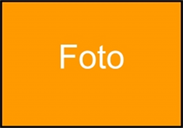 Obra NUEVA OBRA